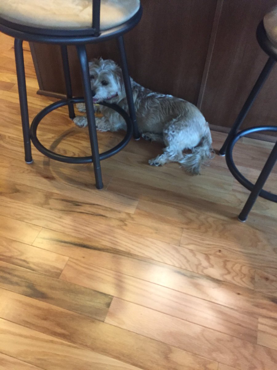 This is my BFF, Lucy!